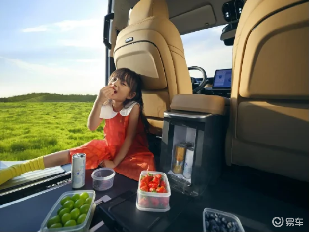 传祺E8+ vs 理想L6 Pro:家庭用车优选大对决