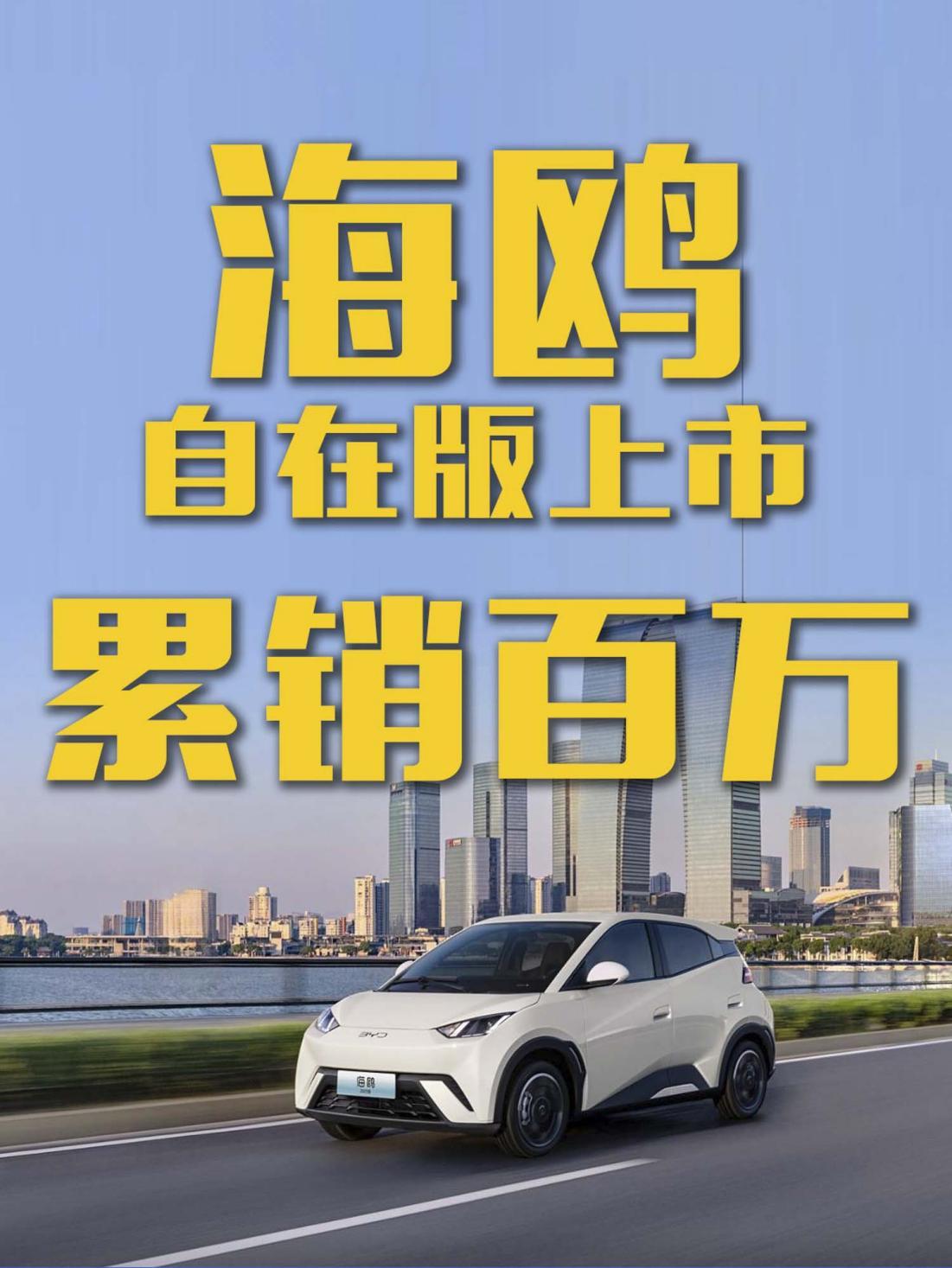 比亚迪海鸥累销百万!自在版正式上市!