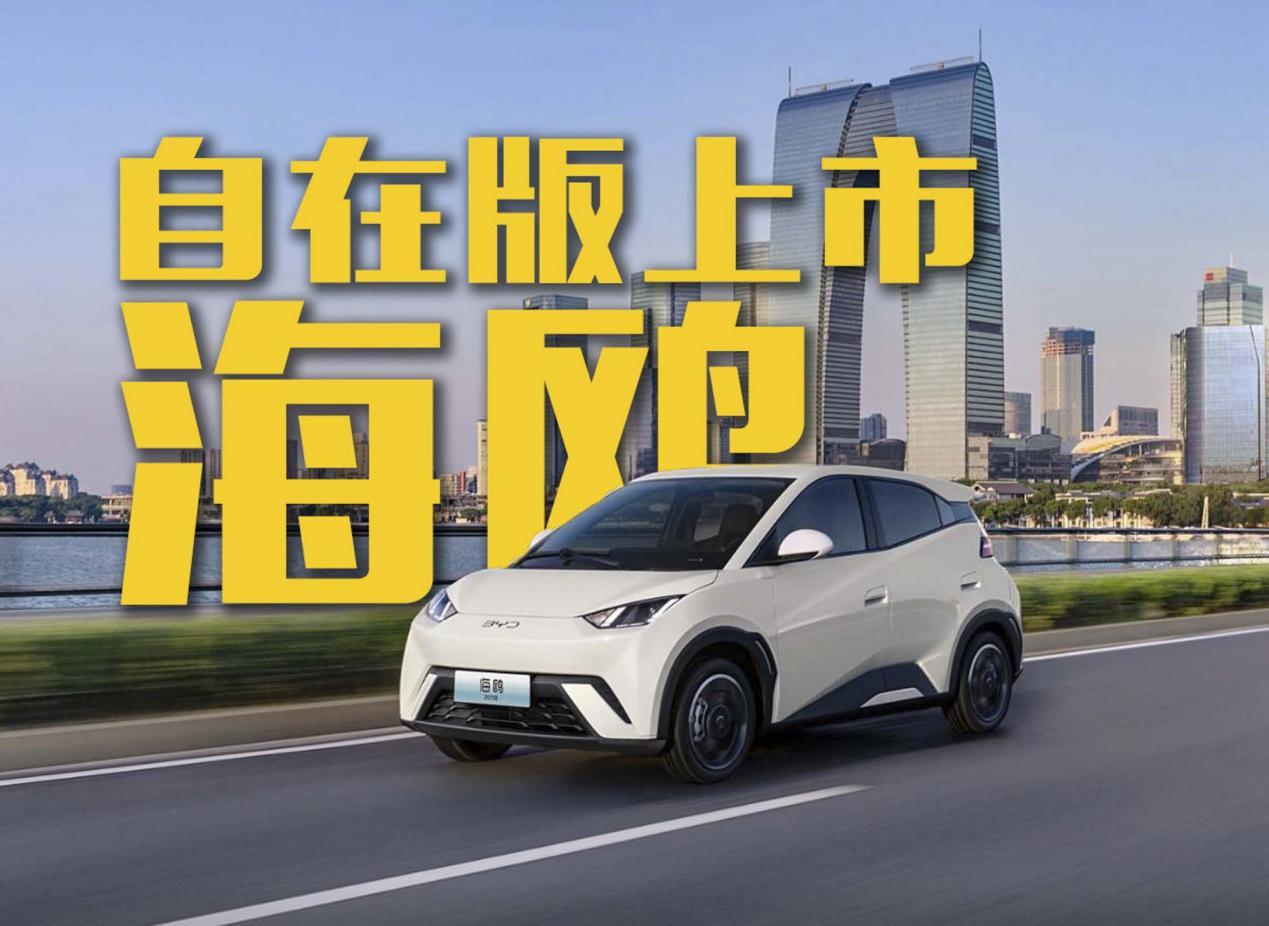 比亚迪海鸥累销百万!自在版正式上市!