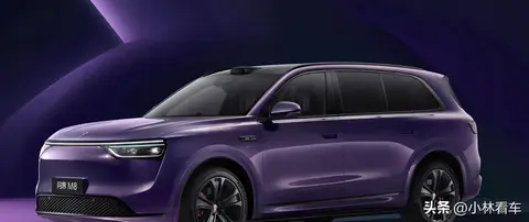 新车上市前夜，紫色套件引热议，消费者该不该等？